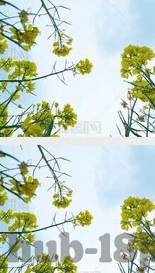 av不卡一区二区-AV一区二区的流畅体验与内容差异解析